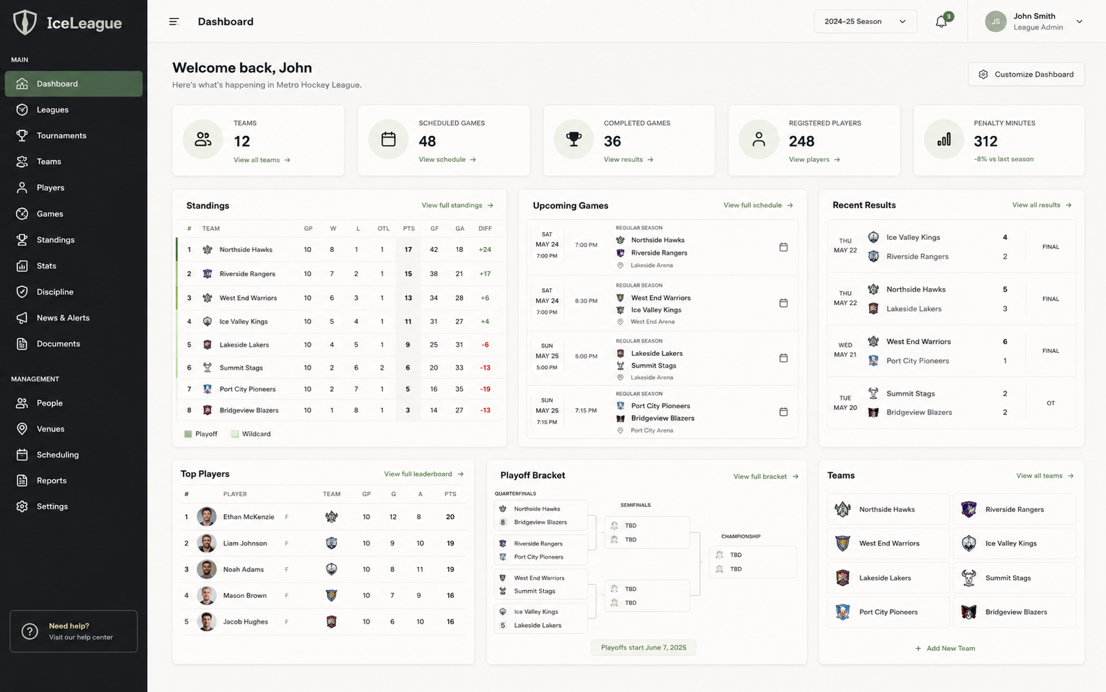 Preview of the IceLeague product interface